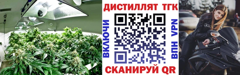 ТГК вейп  купить  цена  Новоалександровск 