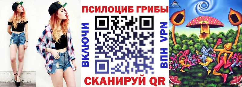 Галлюциногенные грибы GOLDEN TEACHER  купить наркотик  Новоалександровск 