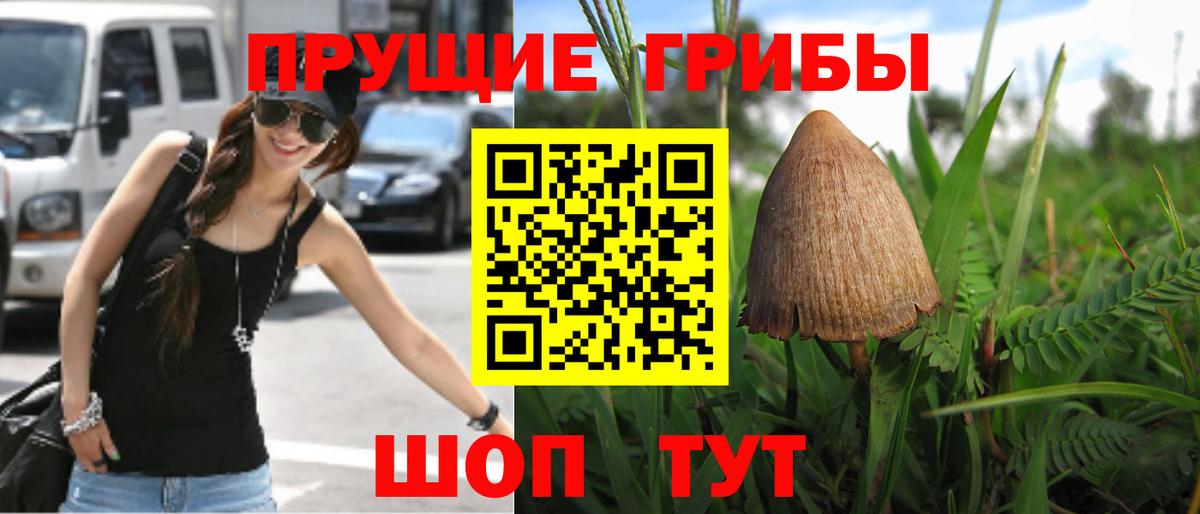 Псилоцибиновые грибы Psilocybe  Вход с VPN  Галлюциногенные грибы Psilocybine cubensis  Новоалександровск 